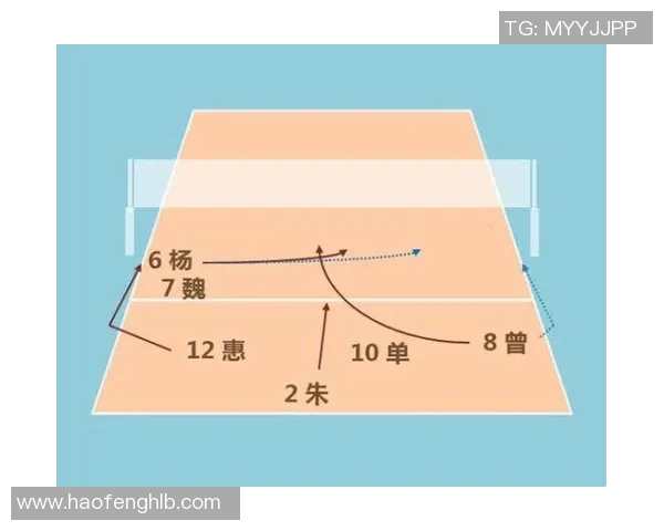 广州排球队节奏体系解析与战术创新探讨