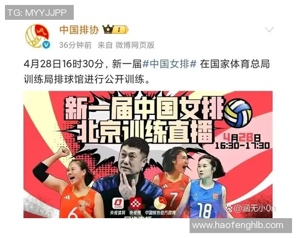 杭州排球队实力引发热议球迷对球队表现的分歧与期待