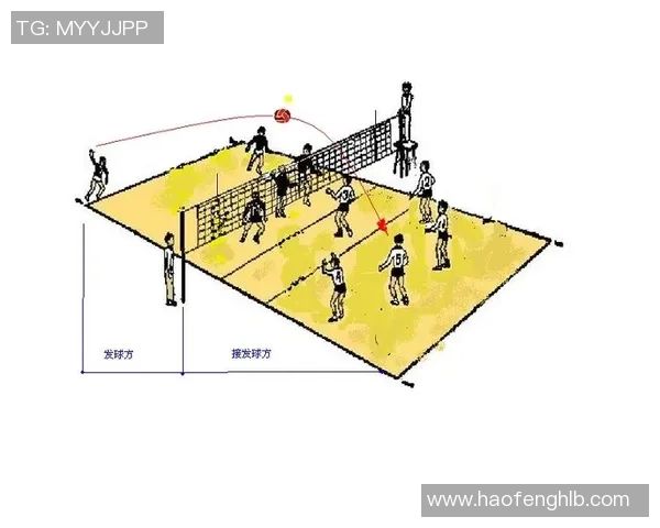 深圳排球队的排球战术解析与转换体系的深度剖析