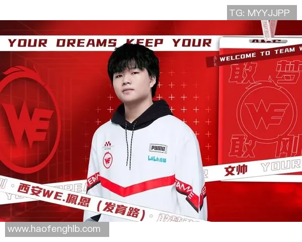 王者荣耀灵活性排行榜揭晓WE战队表现卓越引领潮流