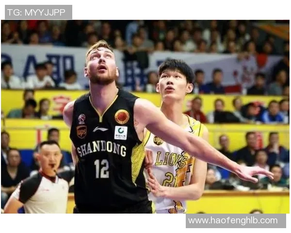 西安羽毛球队阵地战体系探讨与战术应用分析 西安羽毛球队阵地战体系探讨与战术应用分析